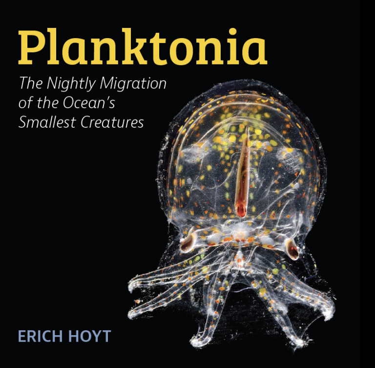 Planktonia – erichhoyt